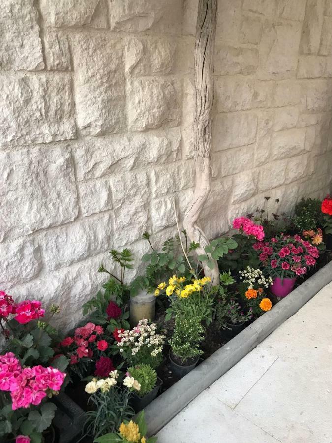 Apartmant Crnica Šibenik Extérieur photo